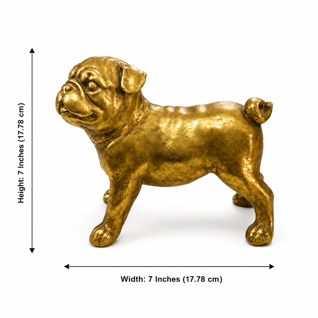 Standing bulldog sculpture dimensions: 7 inches high and 7 inches wide