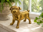 Antique gold standing bulldog sculpture styled by a window