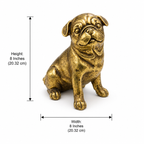 Golden pug sculpture dimensions, 8 inches wide and 8 inches high